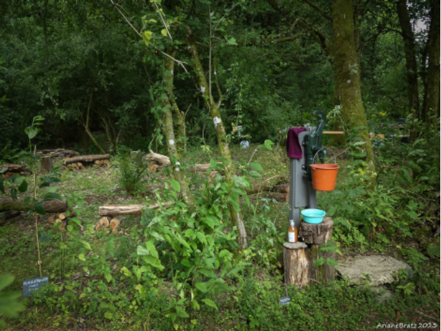 Bouillon – « Une forêt comestible »