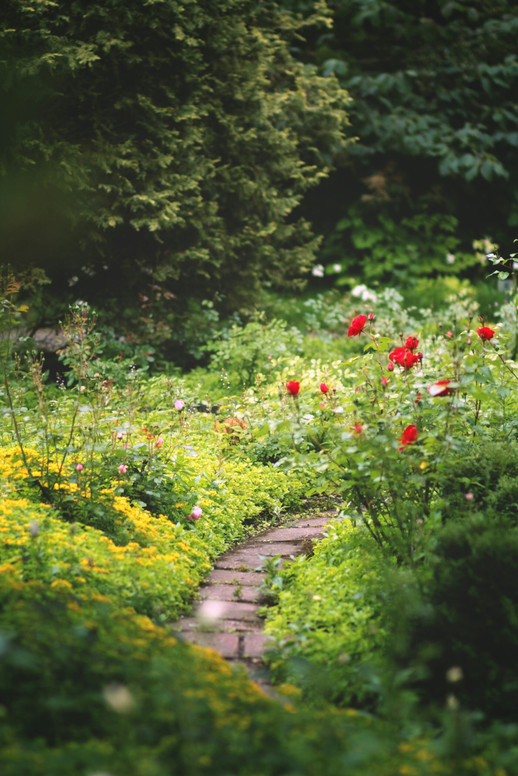 Tournai – Jardin philo : consommer autrement
